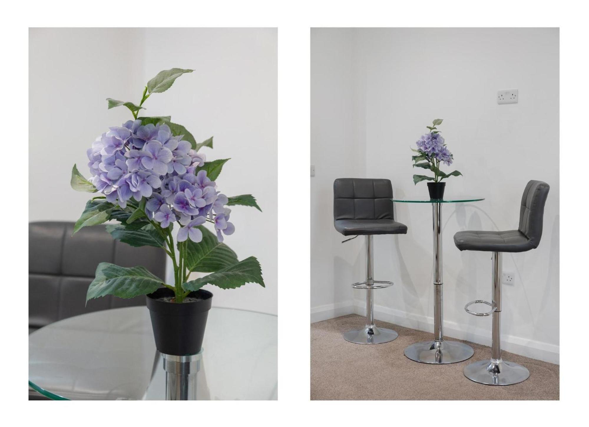 אוקספורד Central And Modern One Bedroom Flat מראה חיצוני תמונה